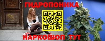 PSILOCYBIN Заводоуковск
