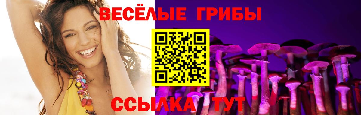 Псилоцибиновые грибы Magic Shrooms Кушва